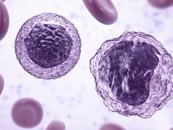 Nuclear export inhibitors